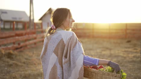 rear view of a woman with basket carrying fresh vegetables or plants just picked in the morning