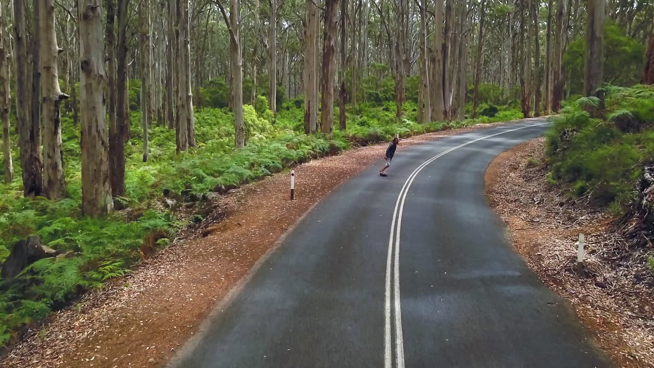 Australia West Oz Forest Skateboarding highway Boranup Forest Drive Aussie Trees Epic Drone by Taylor Brant Film