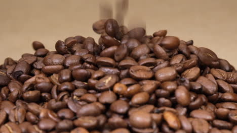 granos de café arábica cayendo fondo de yute