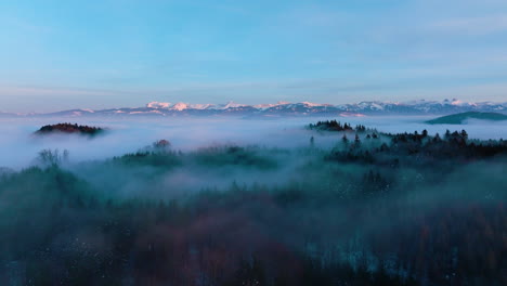 thin clouds over treetops in winter forest at sunset with alps backdrop near lutry, canton of vaud, switzerland