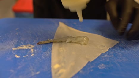 close up on chef's hands, preparing spring rolls stuffed with shrimps and mayonnaise 4k