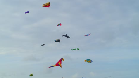 slow pan to reveal large amounts of kites