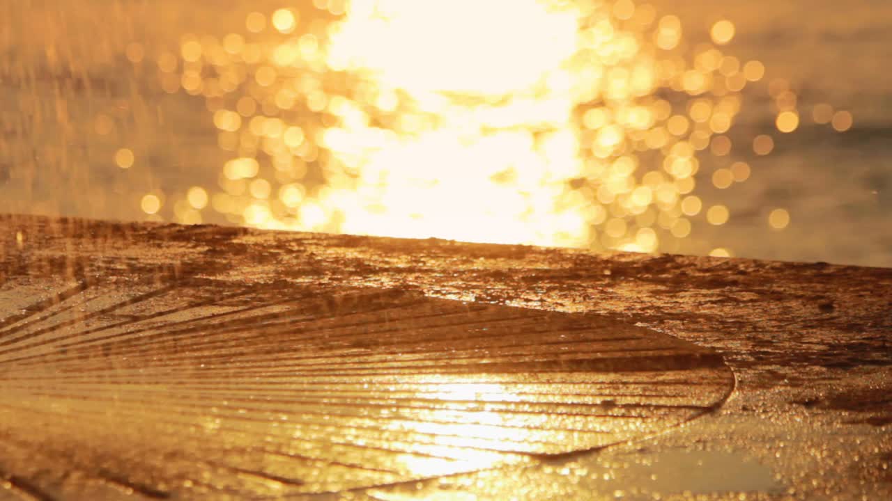 배경 저녁 바다에 돌 표면에 물이  ⁇ 어. 바다에서 황금 해가 지는