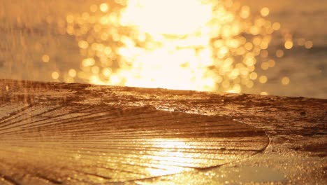 splashing water on stone surface on background evening sea. golden sunset in sea