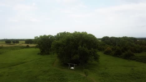 aerial toward a big lush tree in kansas that has a white bench swing underneath it