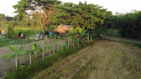 rural village living in yangon myanmar asia