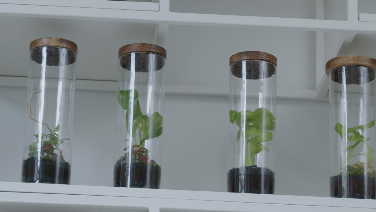 테라리움에 작은 생태계가 있는 꽃 작업장 - 선반 위의 기성품 항아리 - 중간 파노라마