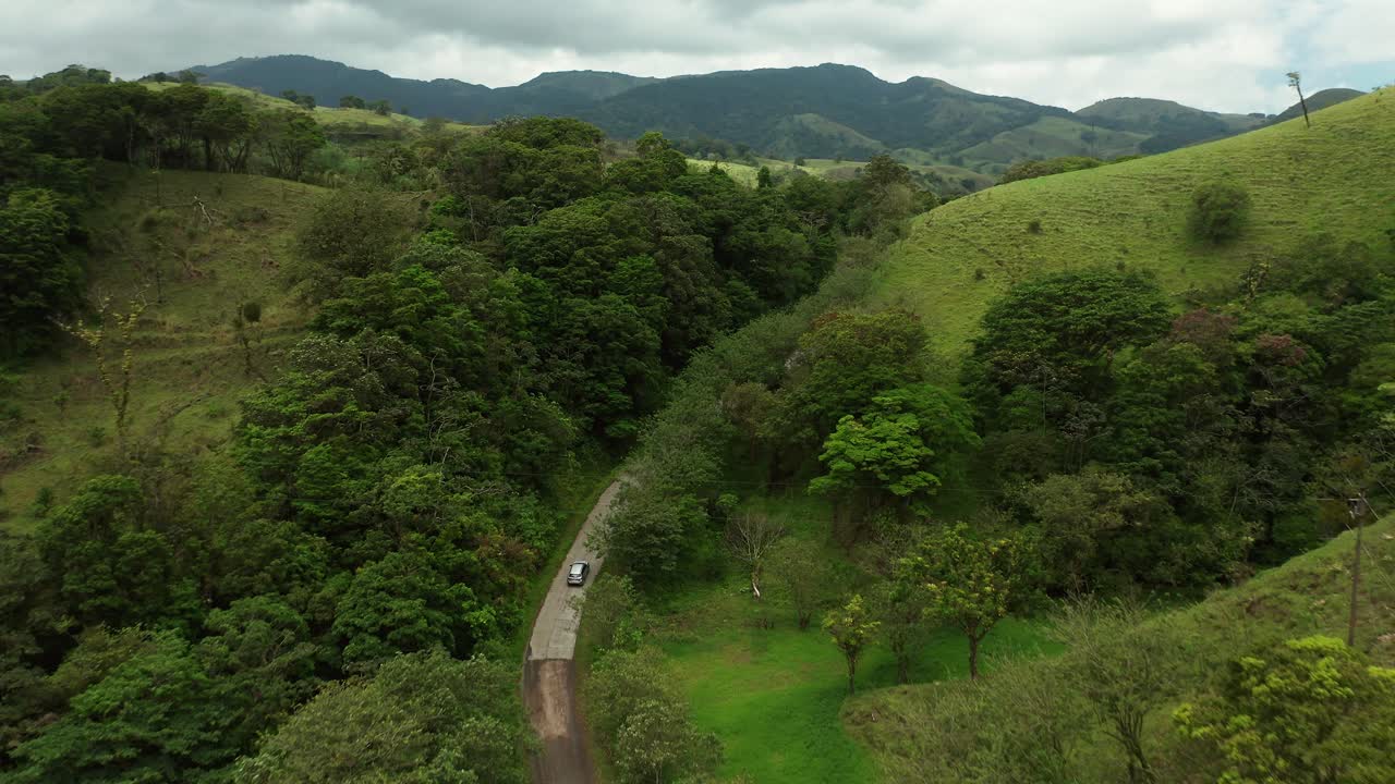 conducción de automóviles a través de un exuberante bosque selvático con hierba verde en la ladera de la montaña