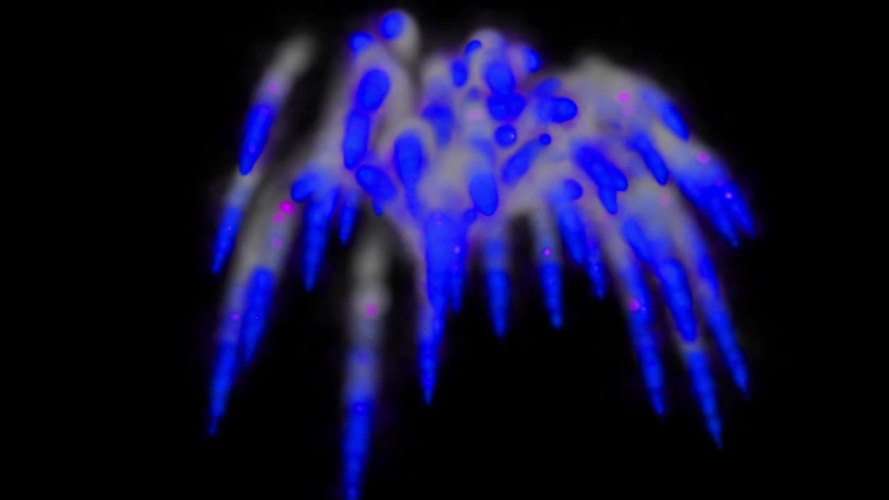 generación de fondo de humo animación de partículas de color gráficos de movimiento