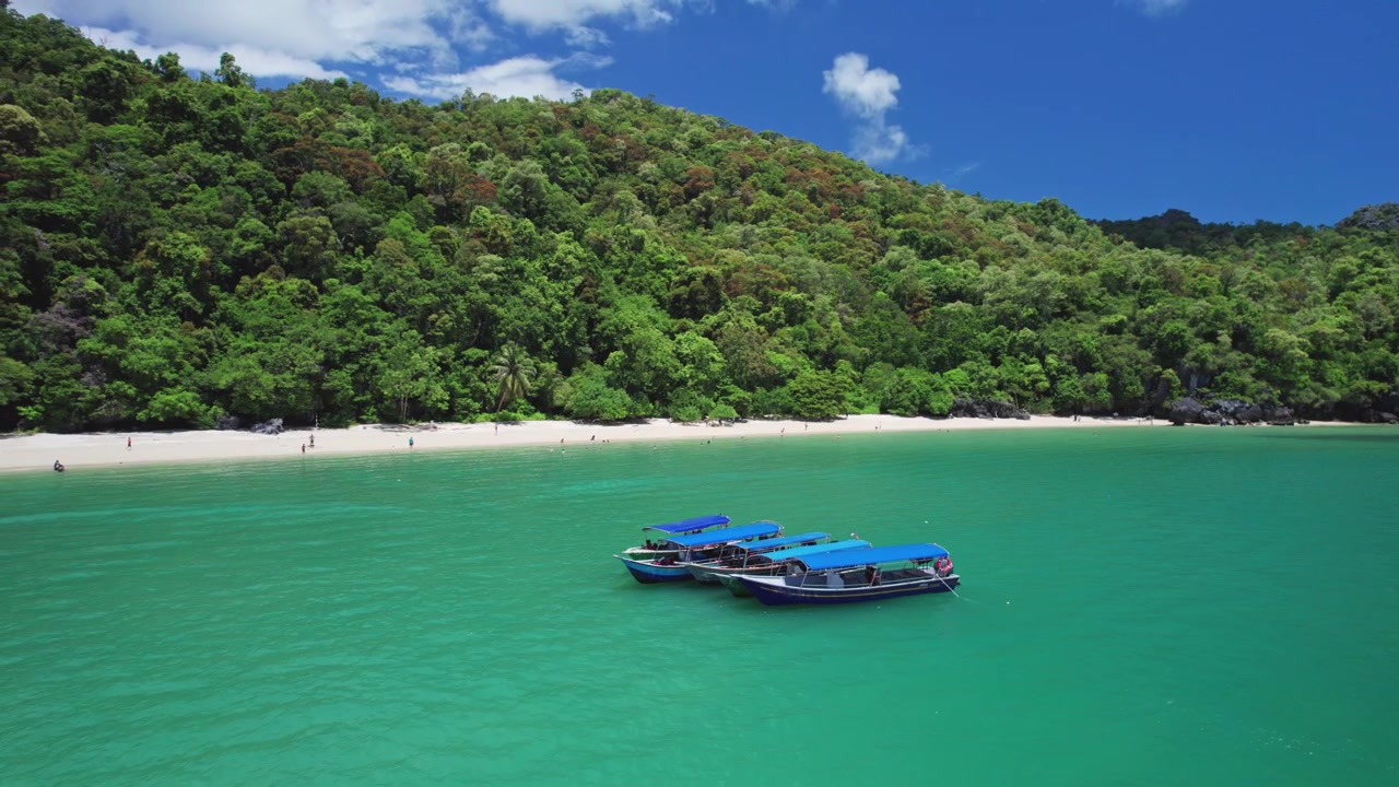 Órbita aérea que muestra barcos turísticos tradicionales descansando en alta mar con un hermoso telón de fondo de agua turquesa, costa virgen y densa vegetación de selva tropical.