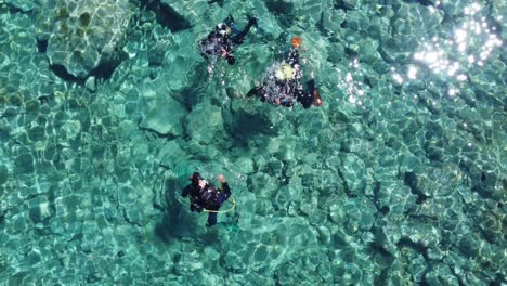 Gruppe-Von-Tauchern,-Die-Im-Meer-Unter-Wasser-Gehen