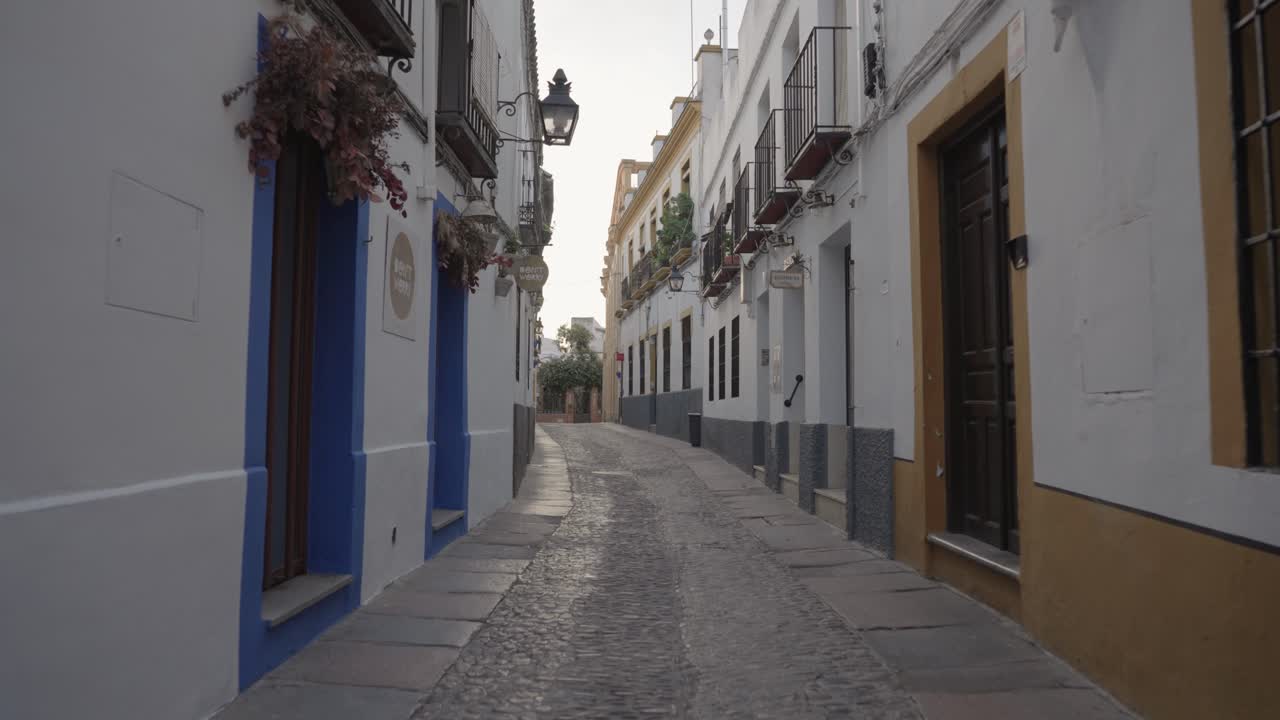 Narrow alleyway with buildings and cobblestone street