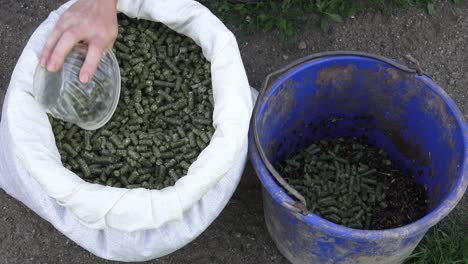 a bucket of grain and granulates animal feed. horse feed with barley, oats grain and supplement granulates.