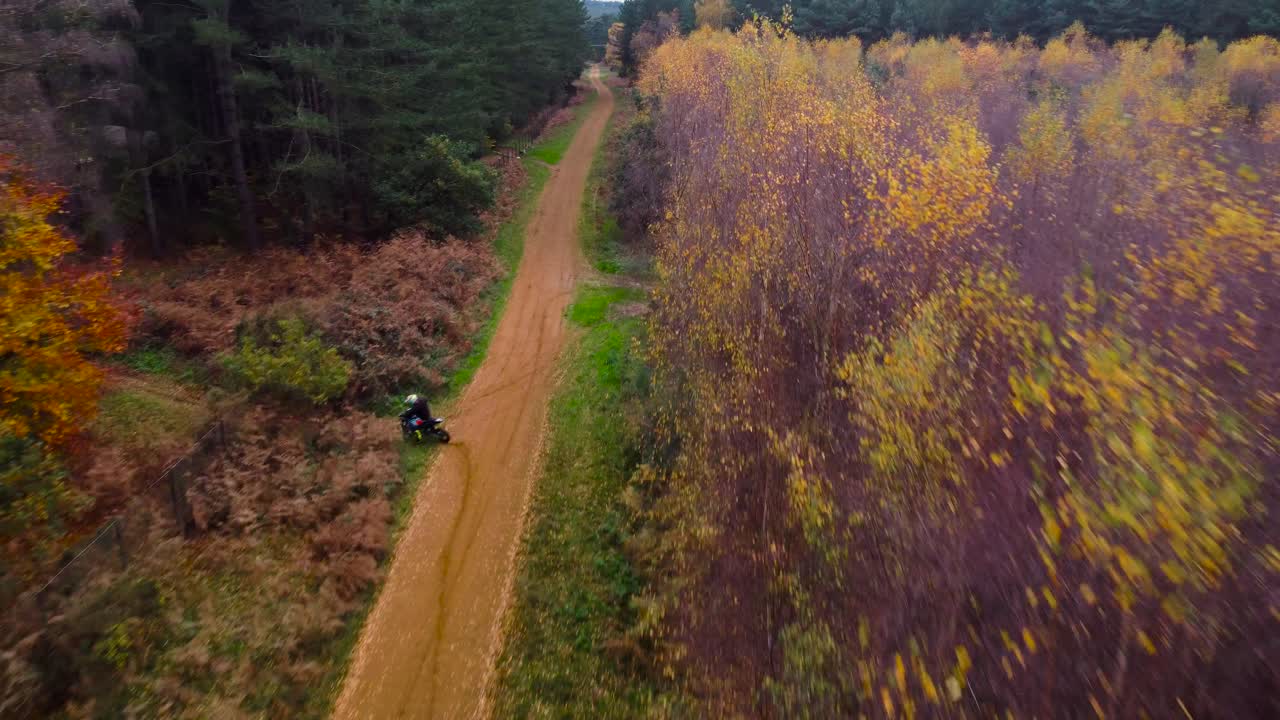 toma aérea de un ciclista montando en bicicleta en el sendero del bosque en medio del bosque de thetford