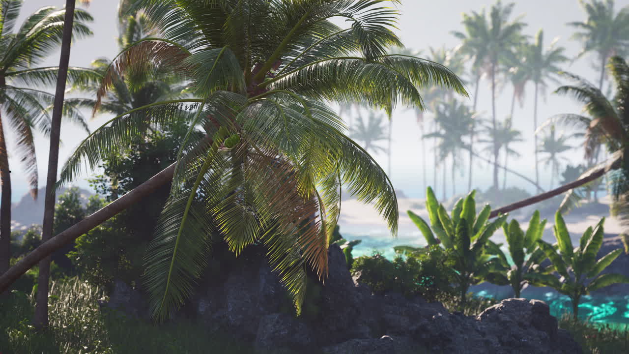 isla paradisíaca tropical