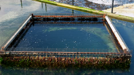 Sumidero-En-Granja-Acuática-Cerca-De-La-Costa-Con-Filtros-De-Barrera-Cuadrados-Rudimentarios