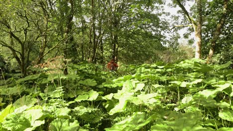 disparo estático de un pescador caminando a través