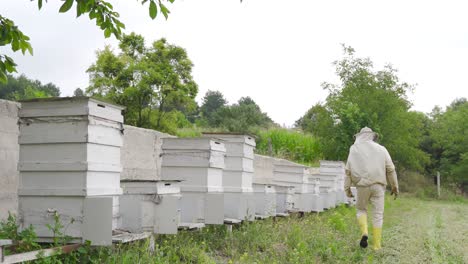 The-beekeeper-is-working.