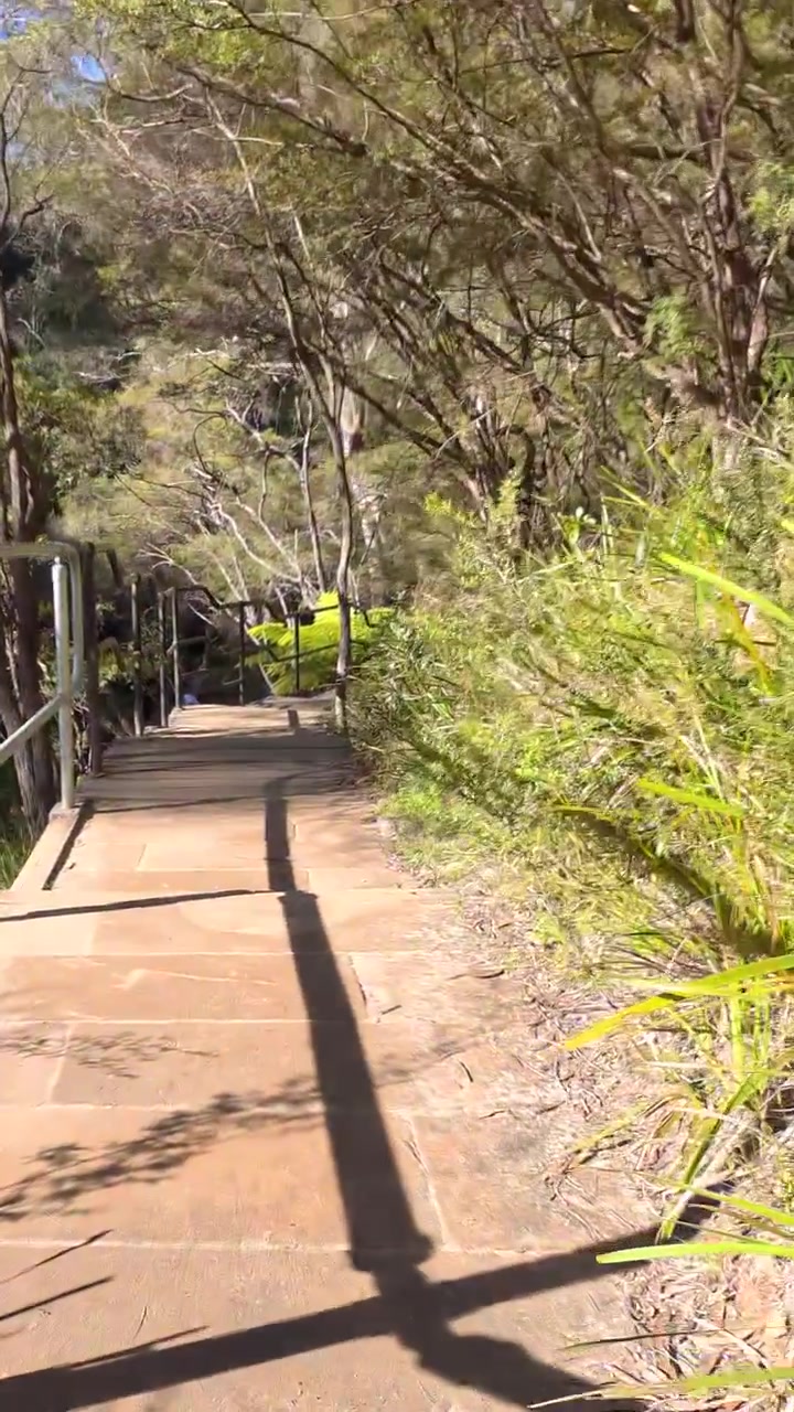 Walking Down Stone Stairs on a Forest Hiking Trail
