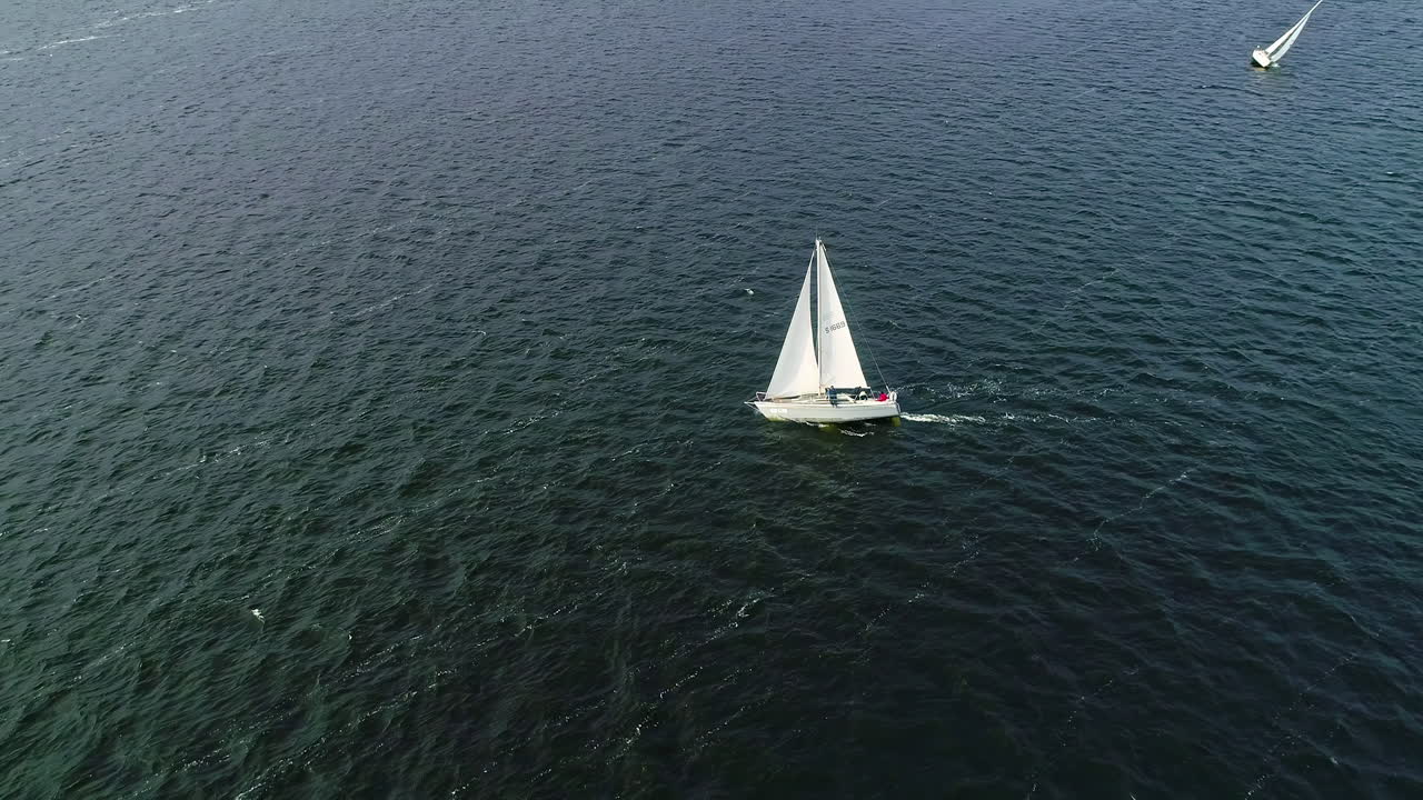 vista aérea de gente feliz y emocionada en veleros o yates en una soleada mañana de verano