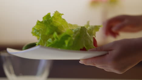 Woman-puts-green-lettuce-leaves-on-vegetables-on-plate