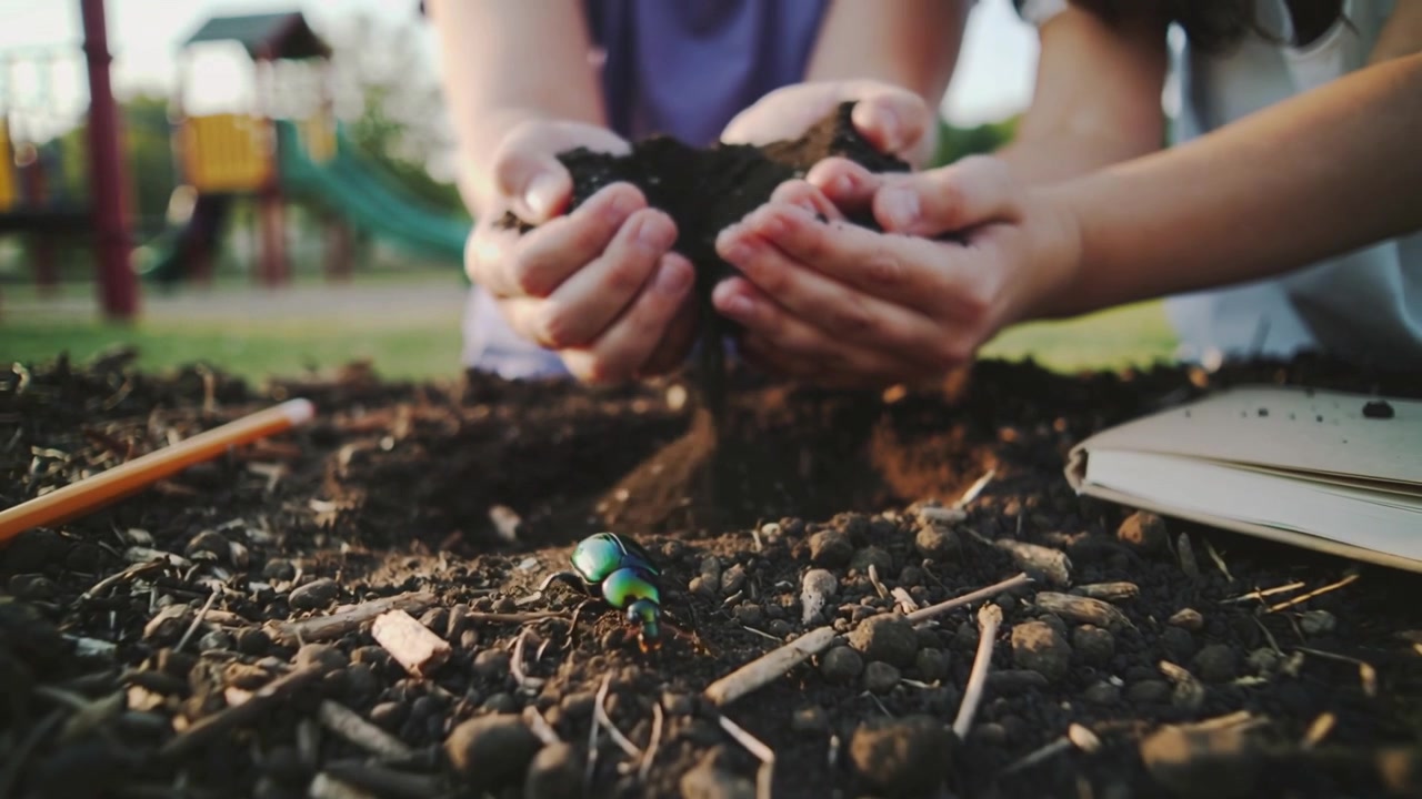 Tilting child hands pouring soil onto playground mulch, revealing beetle and notebook for study