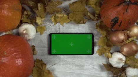 woman with french manicure puts smartphone with green screen at the table