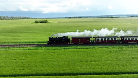 smoking train travels through a meadow