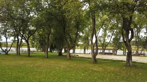 park by the river on a cloudy day