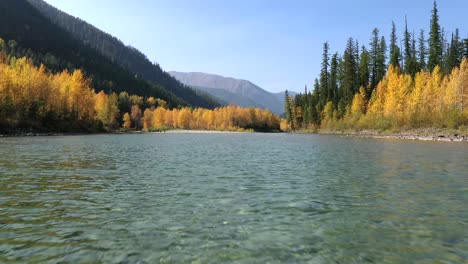 Fliegen-Sie-An-Einem-Sonnigen-Tag-Durch-Fließenden-Fluss-Und-Farbenfrohes-Herbstlaub---Mittlere-Aufnahme