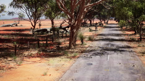 a wavy asphalt road in a hilly landscape