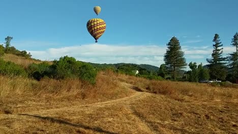 ms of park while hot air balloons floating in the sky in background