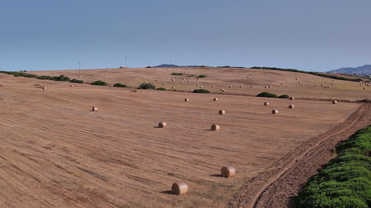 Paesaggio sardo con rotoballe di fieno e strada vuota in estate