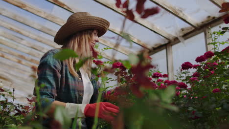 Niña-Florista-En-Un-Invernadero-De-Flores-Sentada-Examina-Rosas-Toca-Las-Manos-Sonriendo.-Pequeño-Negocio-De-Flores.-Mujer-Jardinera-Trabajando-En-Un-Invernadero-Con-Flores.