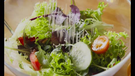 mixed greens salad with vegetables