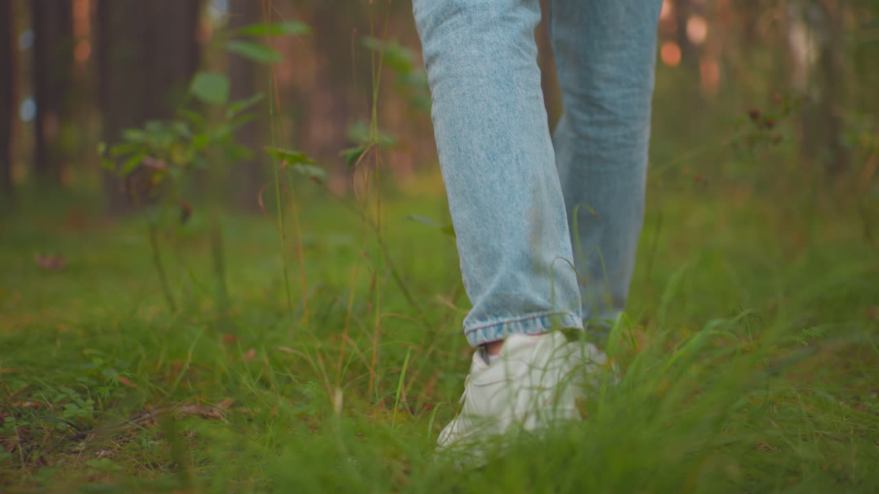 primer plano de las piernas mientras una persona camina por un camino de bosque exuberante, zapatillas blancas rozando la hierba alta. los vaqueros tocan la vegetación vibrante en el suelo del bosque