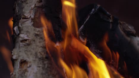 Burning-Logs-Slow-Motion-4K-15