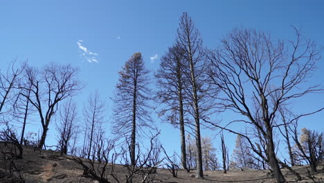 las secuelas del incendio del valle, 2015, condado de lake, california