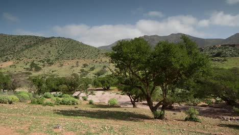 argan valley 0