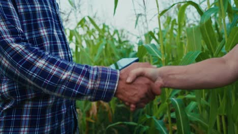 farmers shaking hands in a cornfield