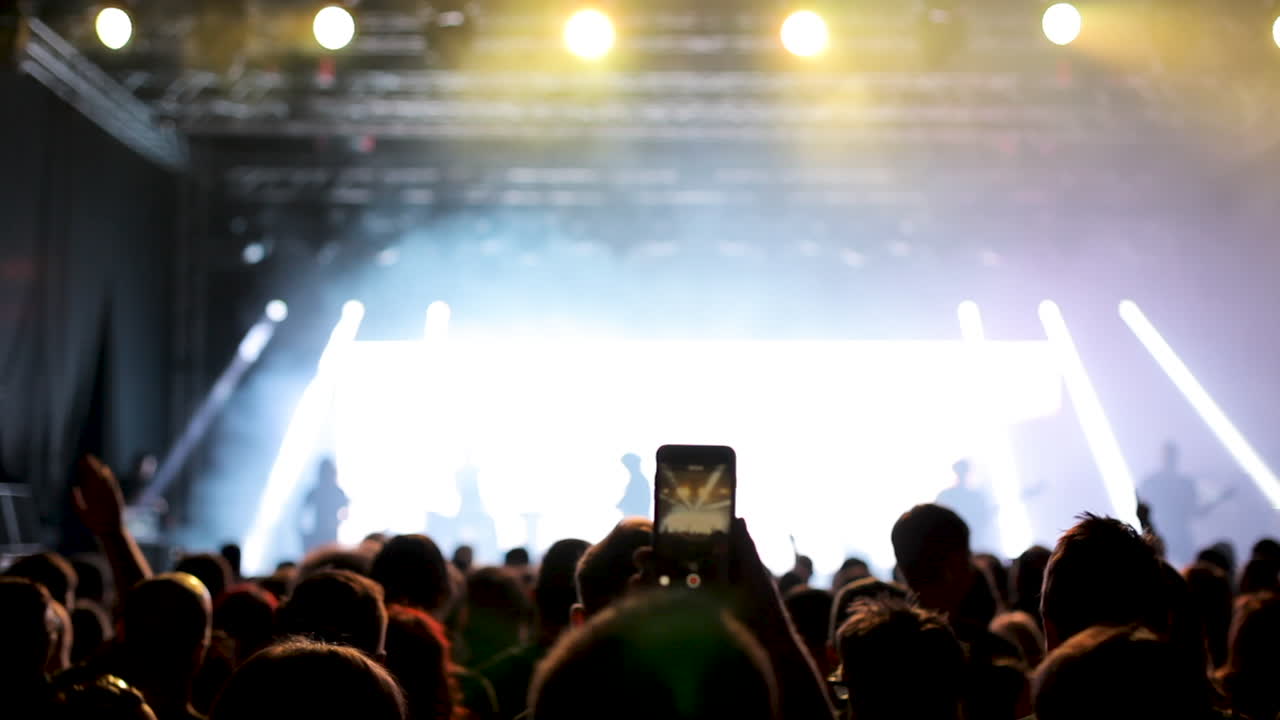 Concert Crowd at Live Music Event