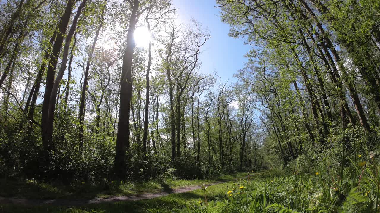 움직이는 구름의 시간 경과