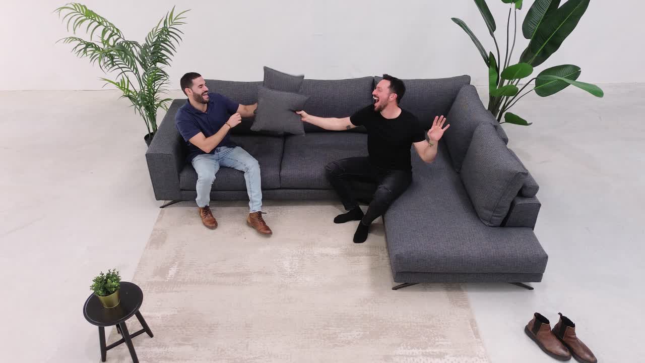 Two Friends Having a Pillow Fight on the Sofa, Laughing and Playing
