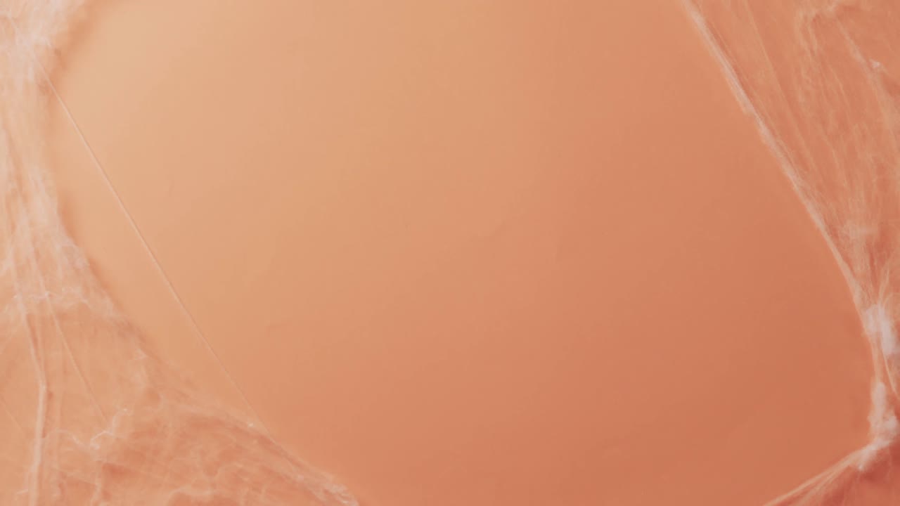 Video of halloween spider's web and copy space on orange background