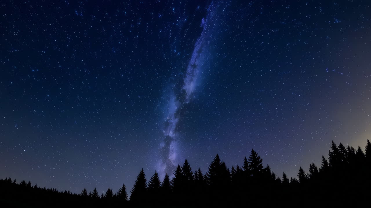 Starry Night Sky Over a Forest