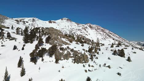 snowy mountain landscape with rocks and trees