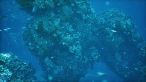 un maravilloso y hermoso mundo submarino con corales y peces tropicales