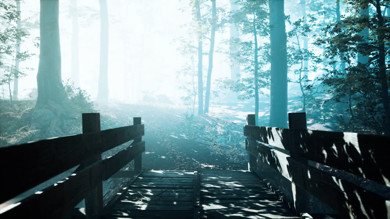 강 이 있는 숲 으로 가는 나무 다리