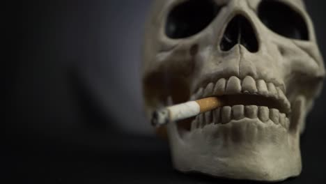 human skull with cigarette on dark background close up panning shot