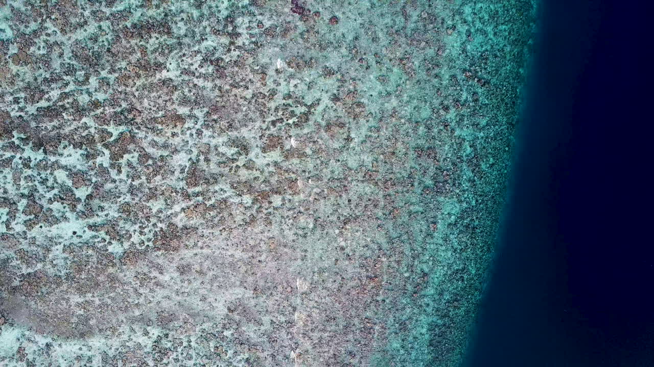 Downward angle of the shallow clear blue ocean waters